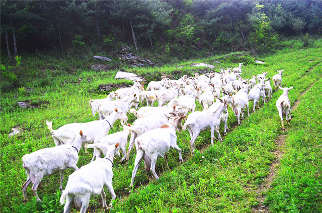 20190513/5cd92f8bb8884.jpg DSC_1630-wps圖片_副本.jpg