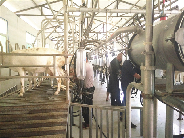 20190513/5cd92f935a012.jpg IMG20180605161351-wps圖片_副本.jpg